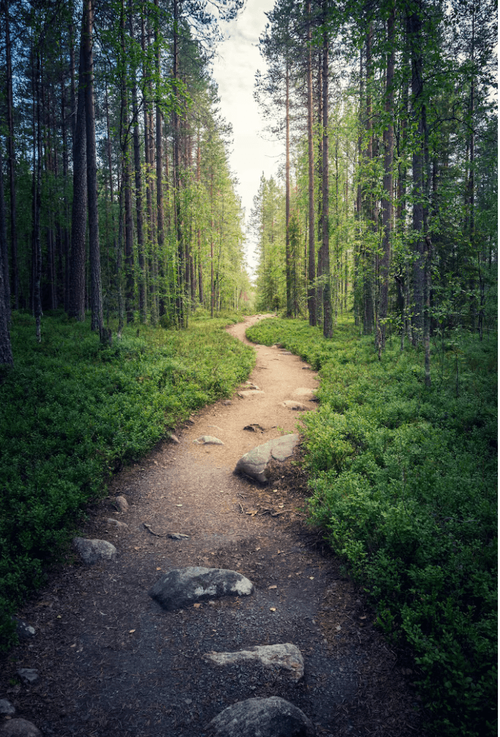 Dorothée - Énergéticienne et Naturopathe